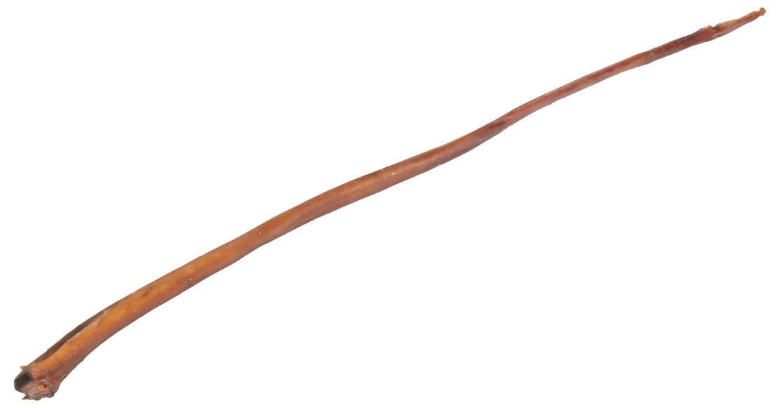 Hovězí penis neřezaný 100-115cm