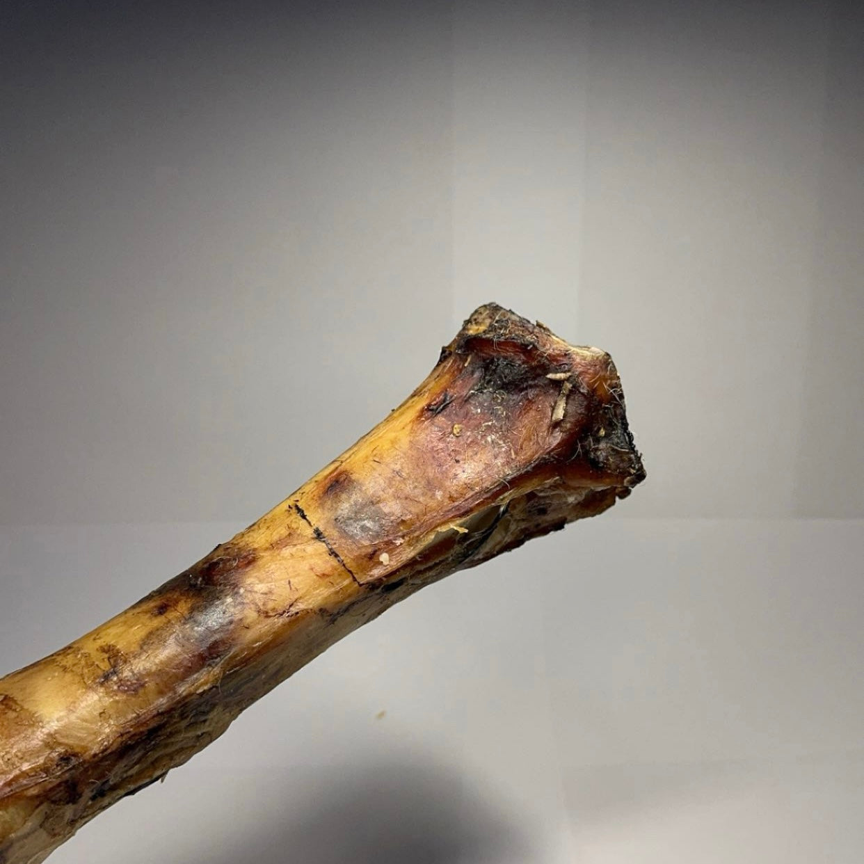 Hovězí noha 30-35cm 1ks