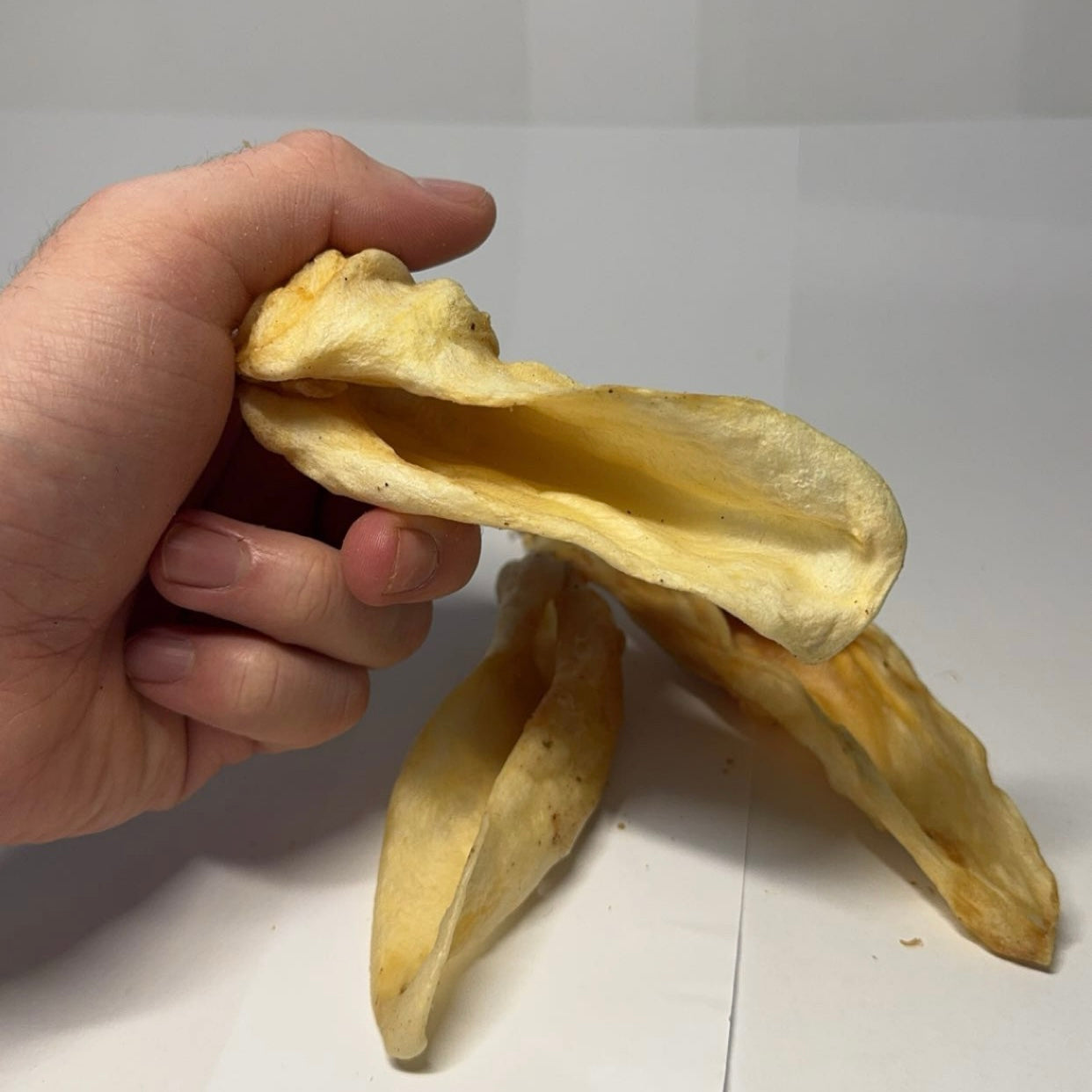 Jehněčí ucho 1 ks