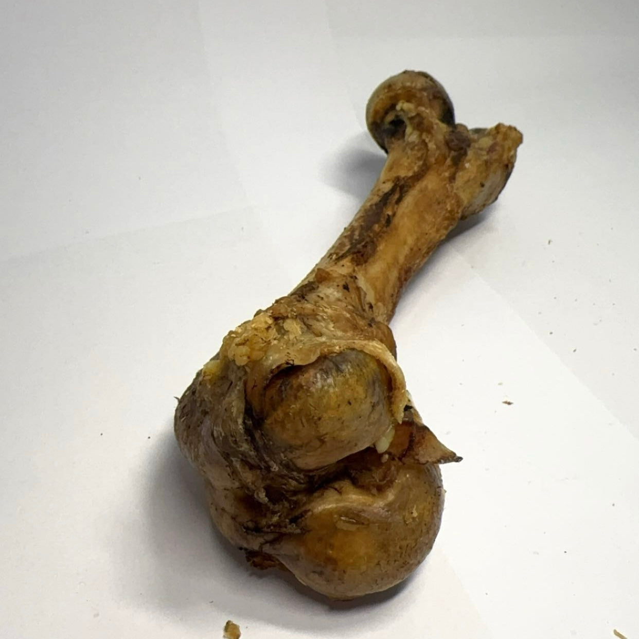 Vepřová špiková kost 1ks