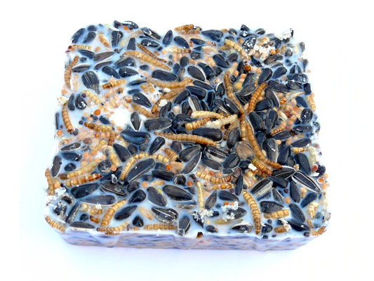 Lojový koláč s moučnými červy 1ks 300g