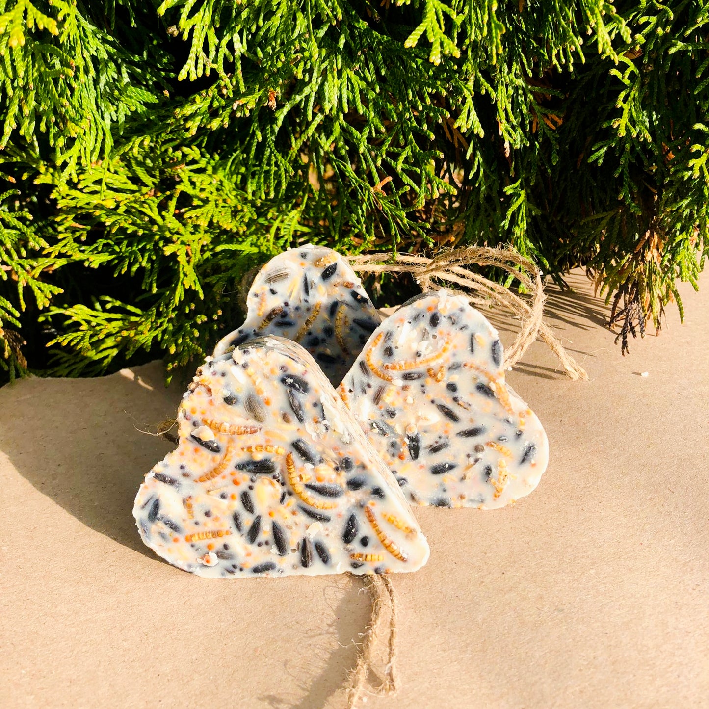 Lojové srdíčko s moučnymi červy 1ks 100g