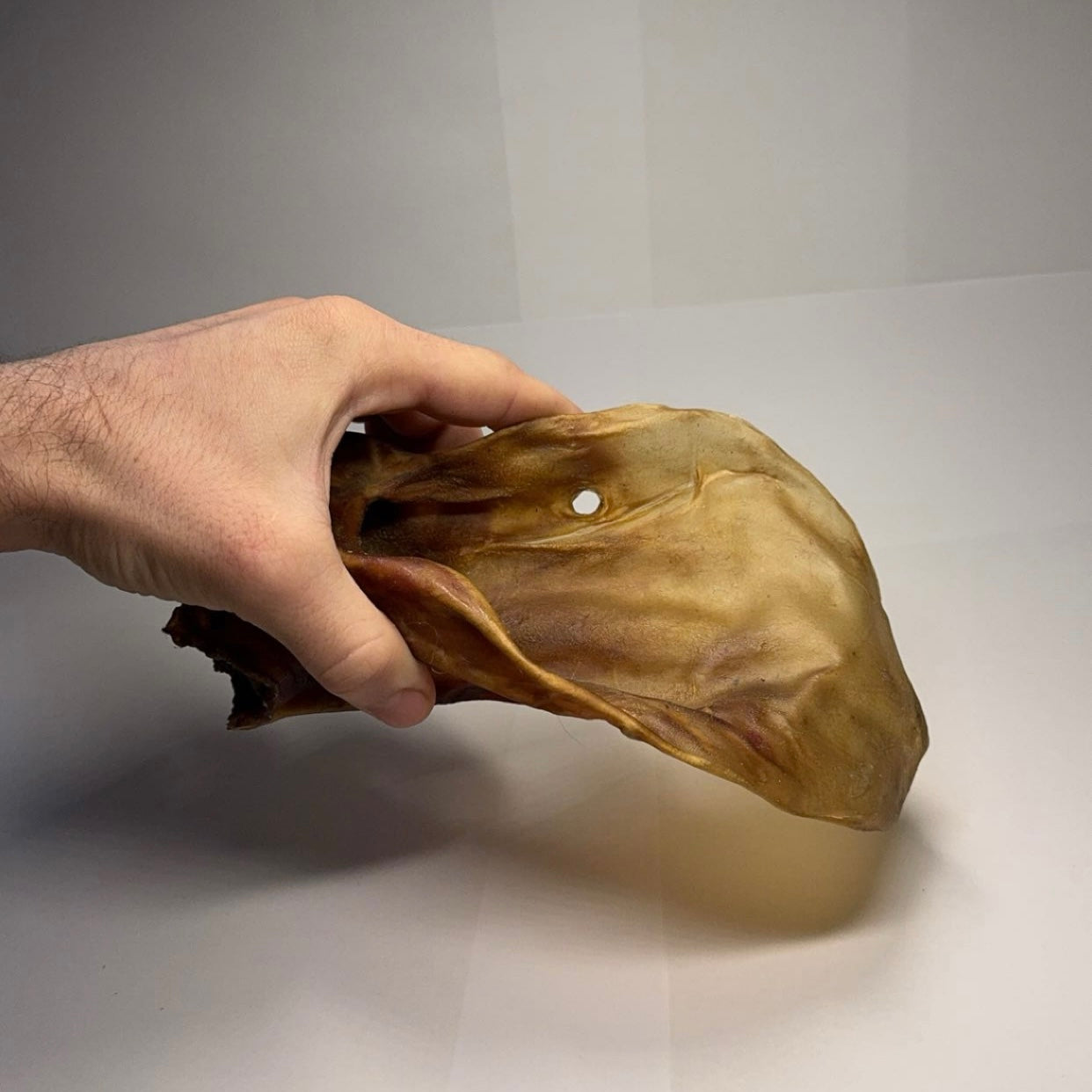 Hovězí ucho se záuškem XXL 1 ks