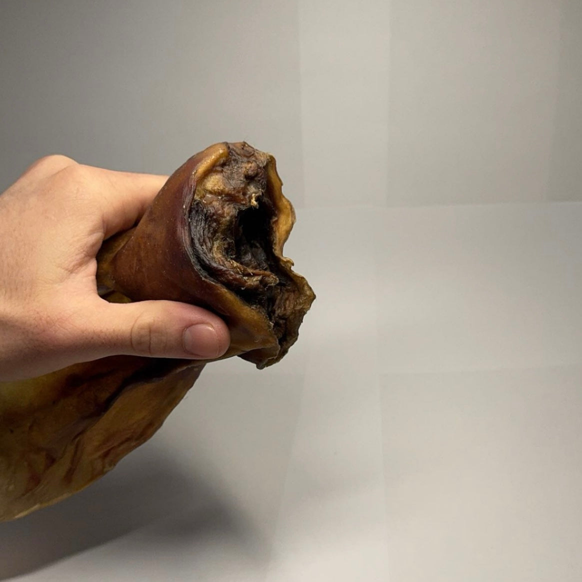 Hovězí ucho se záuškem XXL 1 ks