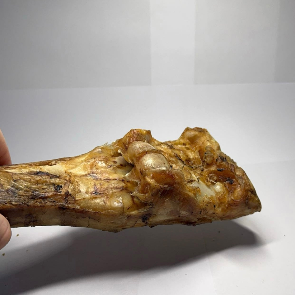 Hovězí noha 30-35cm 1ks