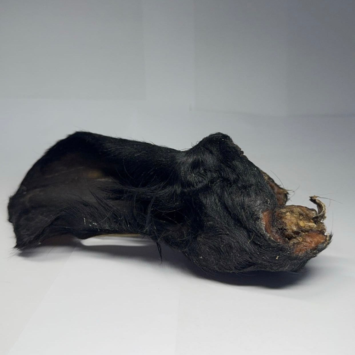 XXL Hovězí ucho se srstí 1 ks