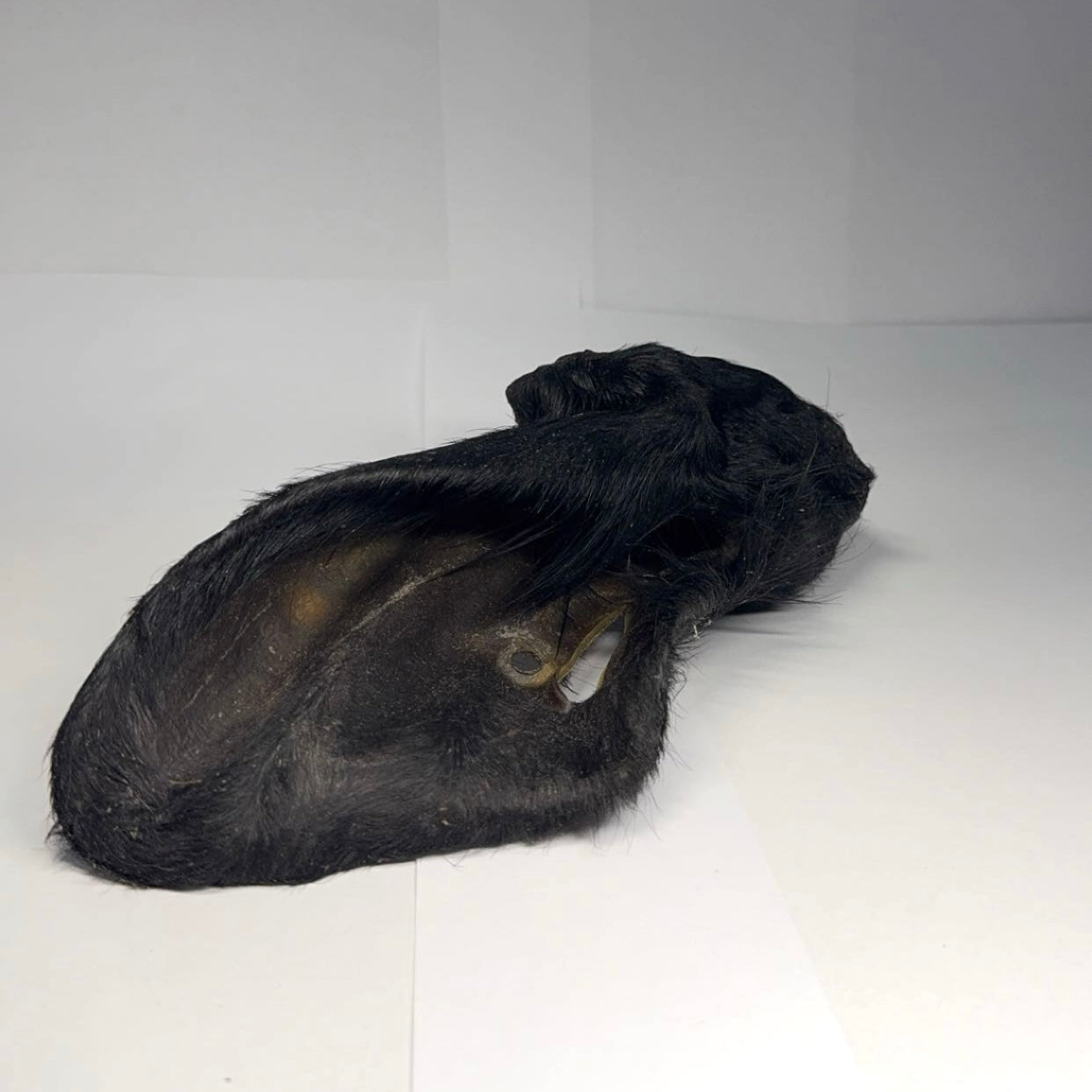 XXL Hovězí ucho se srstí 1 ks