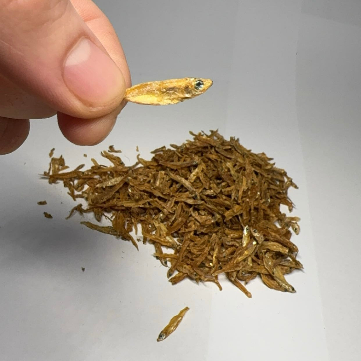 Sušené rybičky 1-3cm 100g