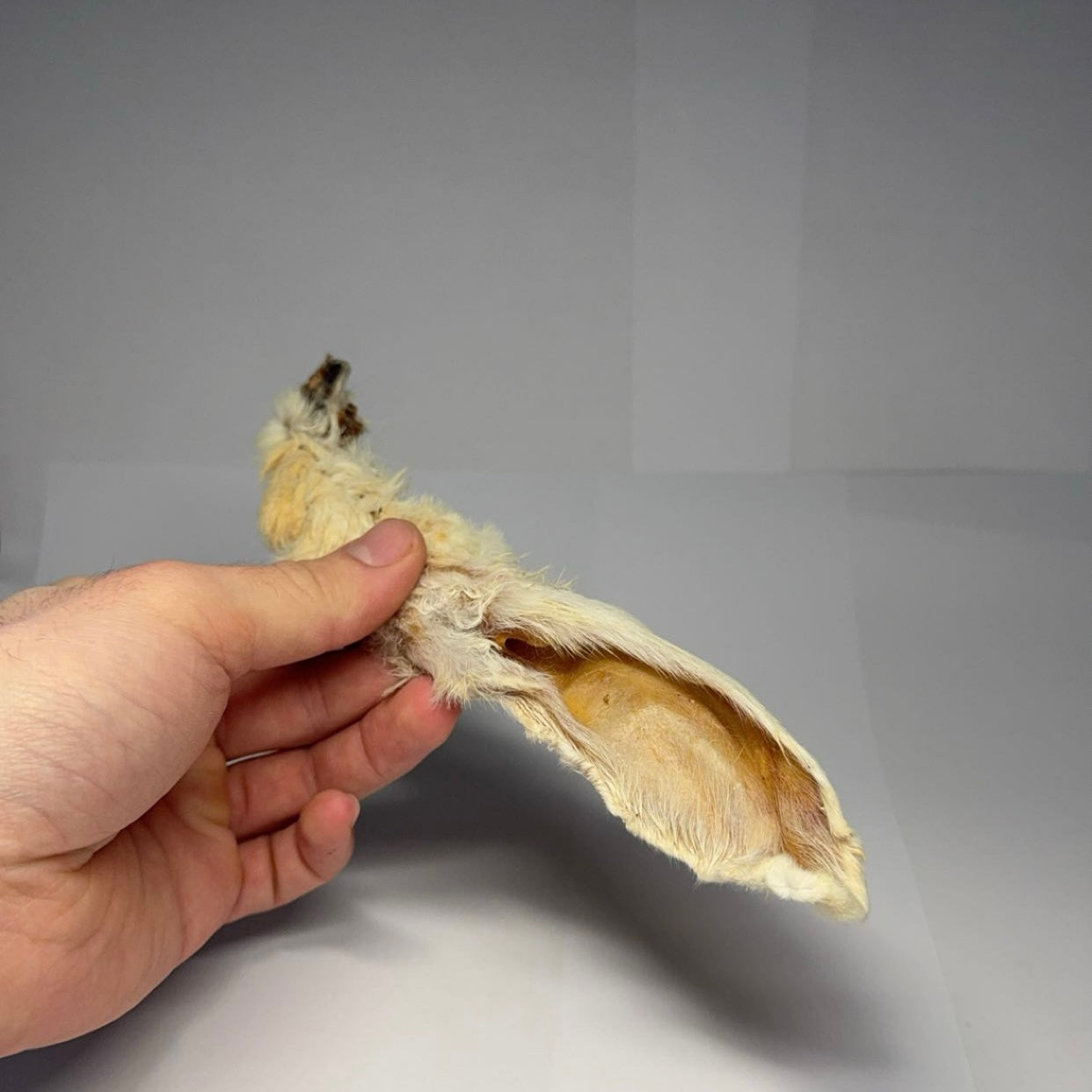 Králičí ucho se srstí 250g