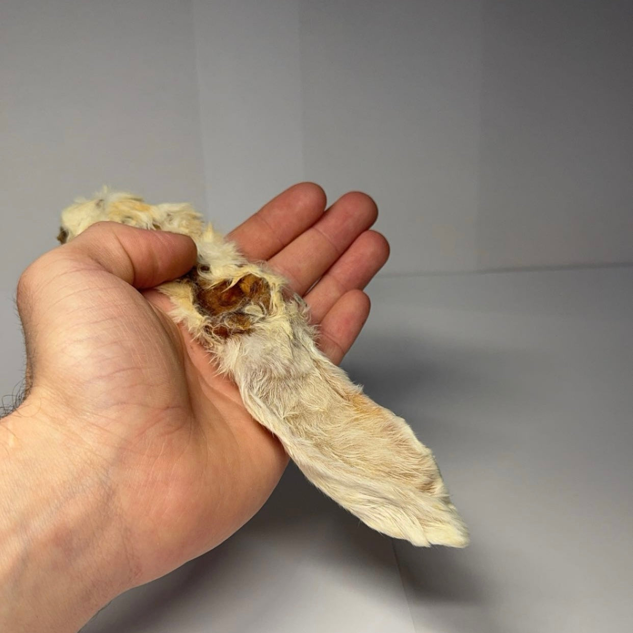 Králičí ucho se srstí 250g