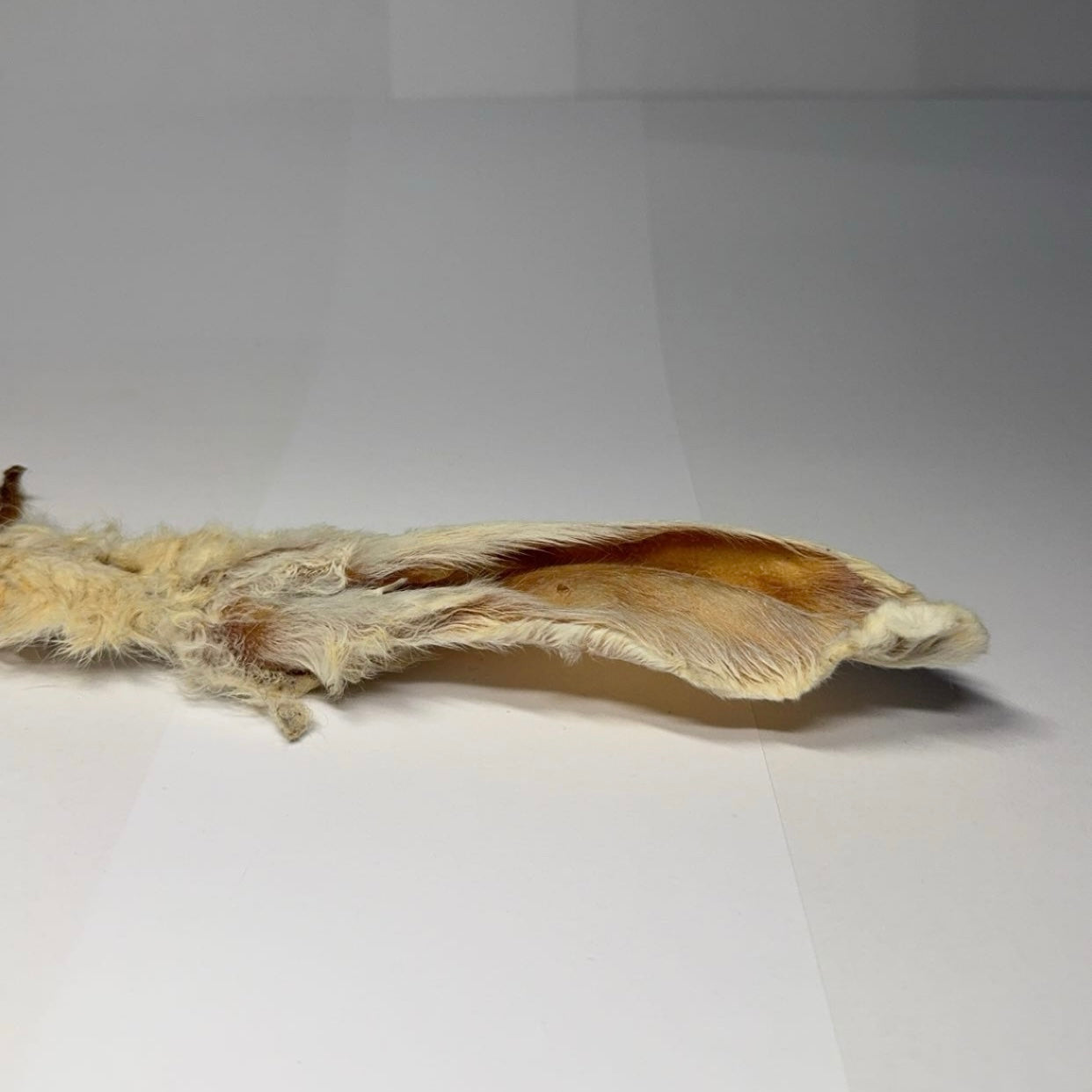 Králičí ucho se srstí 250g