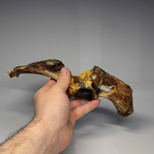 Vepřová pánevní kost 1ks