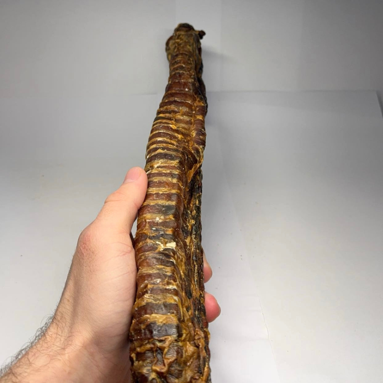 Hovězí hrtan 30-35cm 1ks