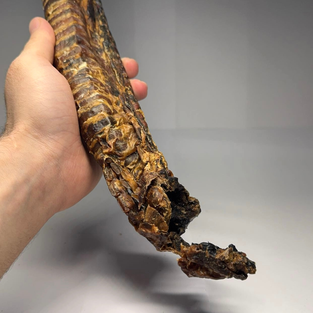 Hovězí hrtan 30-35cm 1ks