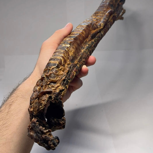 Hovězí hrtan 30-35cm 1ks