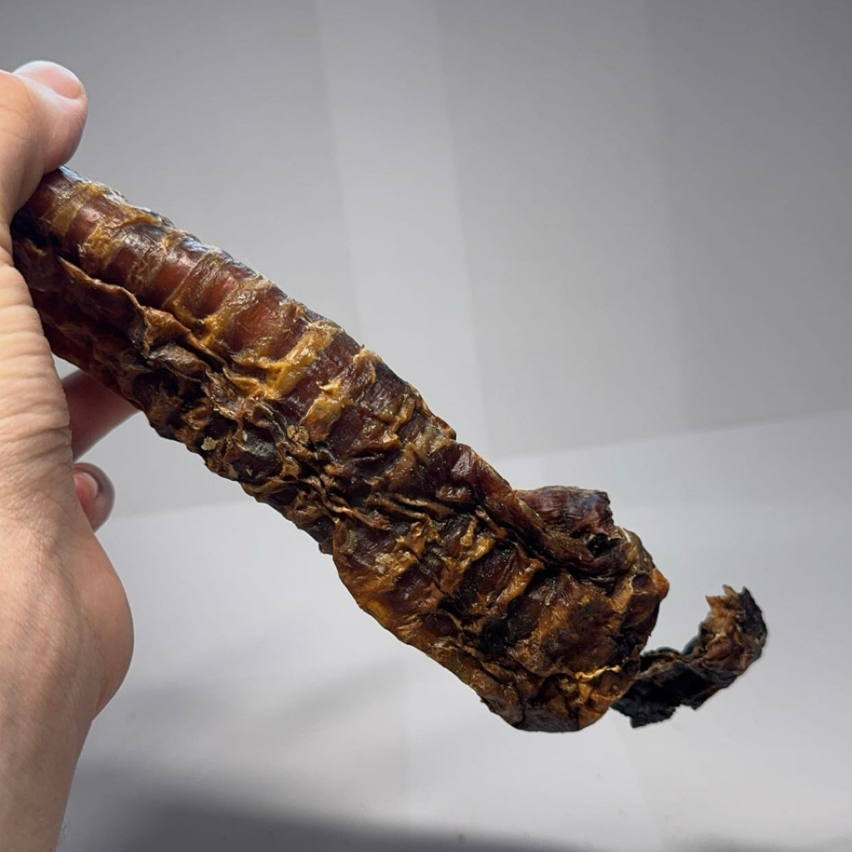 Hovězí hrtan 30-35cm 1ks