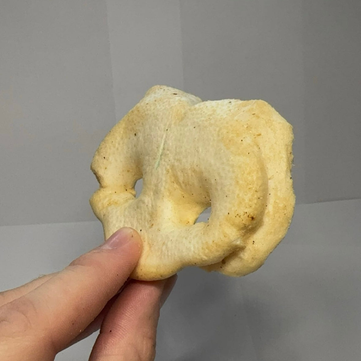 Vepřový čumák 1ks