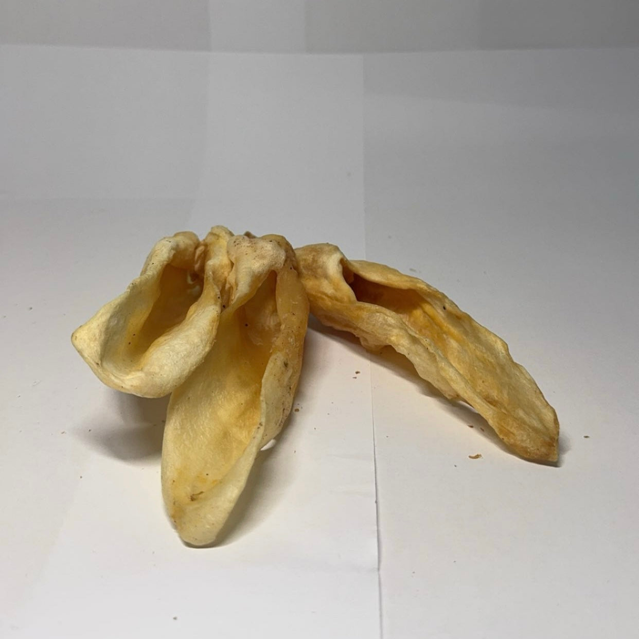 Jehněčí ucho 1 ks