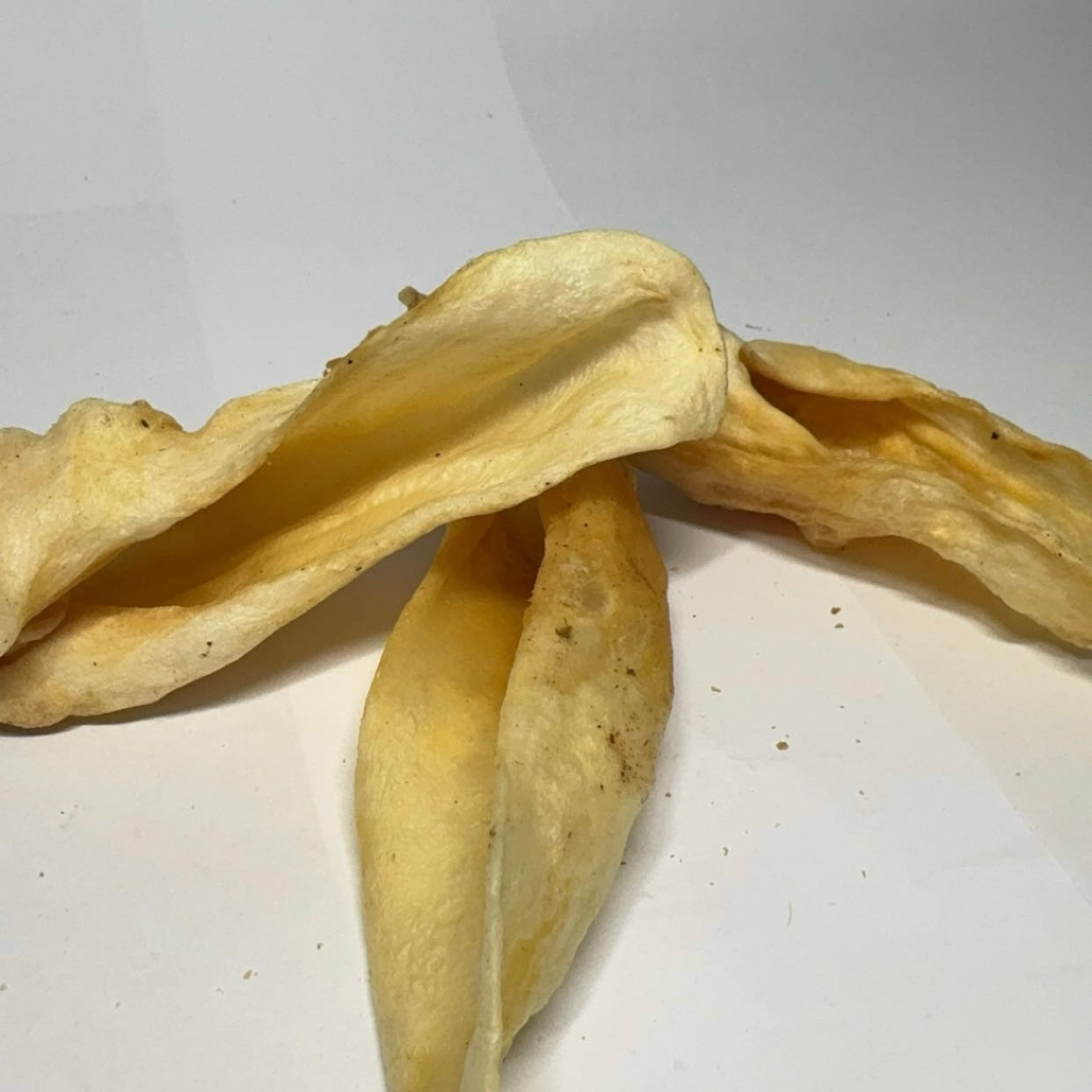 Jehněčí ucho 1 ks