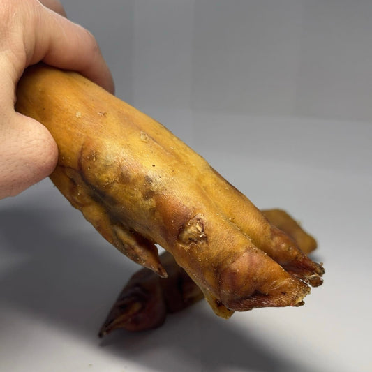 Vepřová noha dlouhá 1 ks