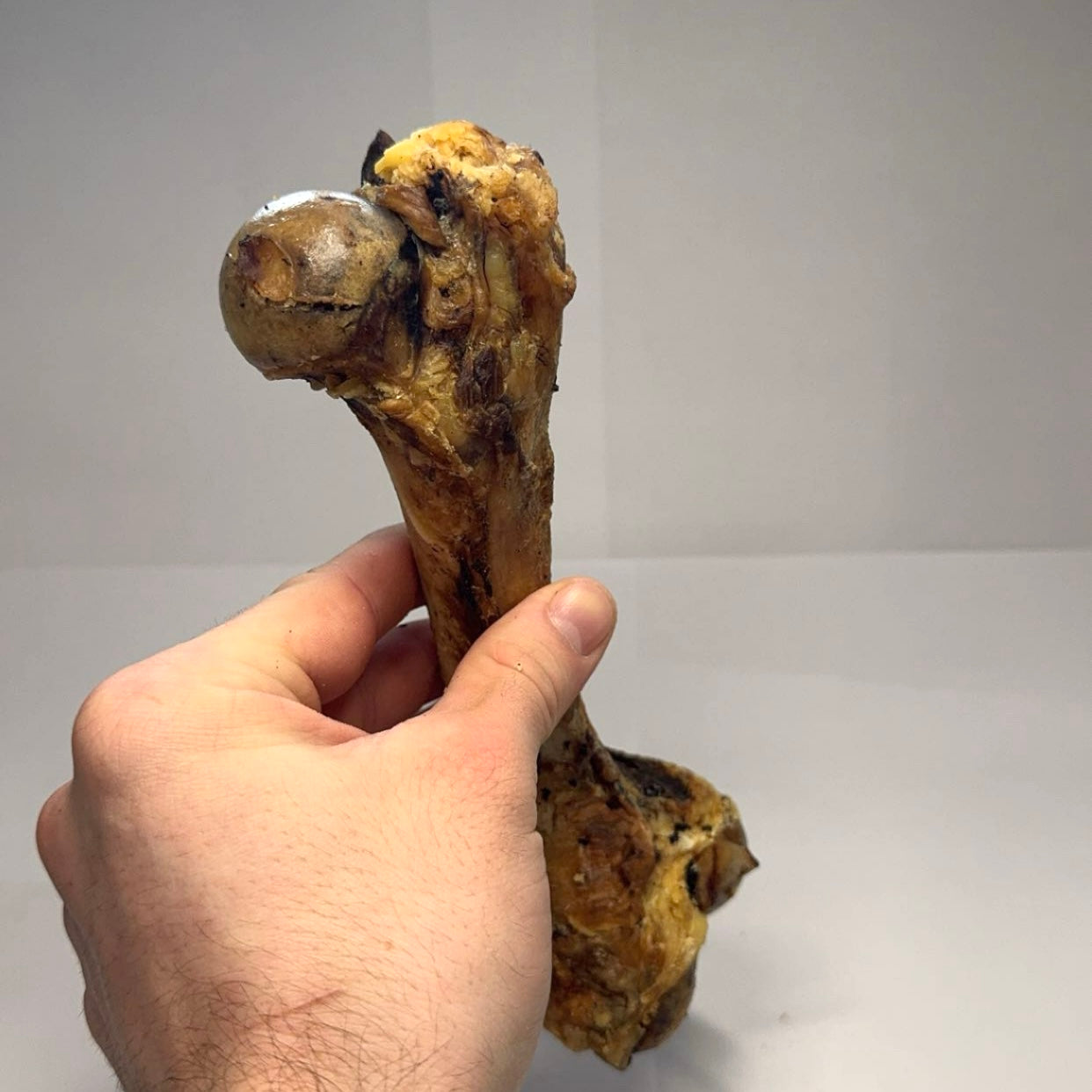 Vepřová špiková kost 1ks