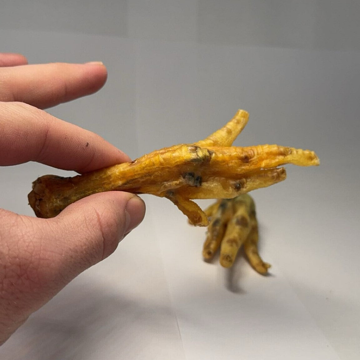 Kuřecí pařáty 1ks