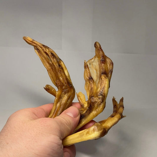 Kachní pařáty 1ks