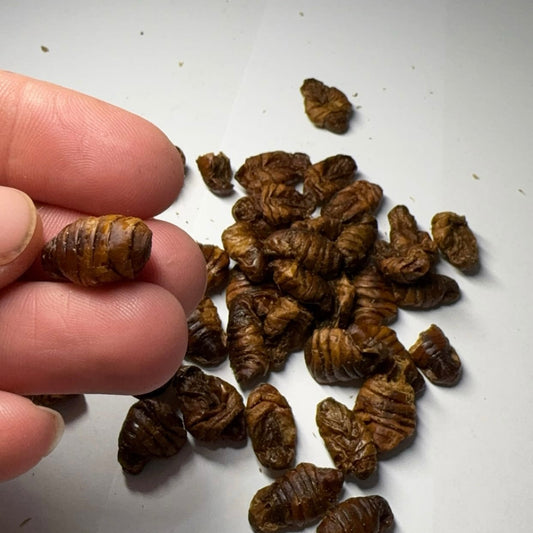 Bourec morušový (larvy) 500g