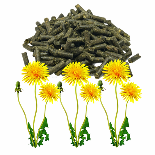 Pampeliška - 100% přírodní  150g