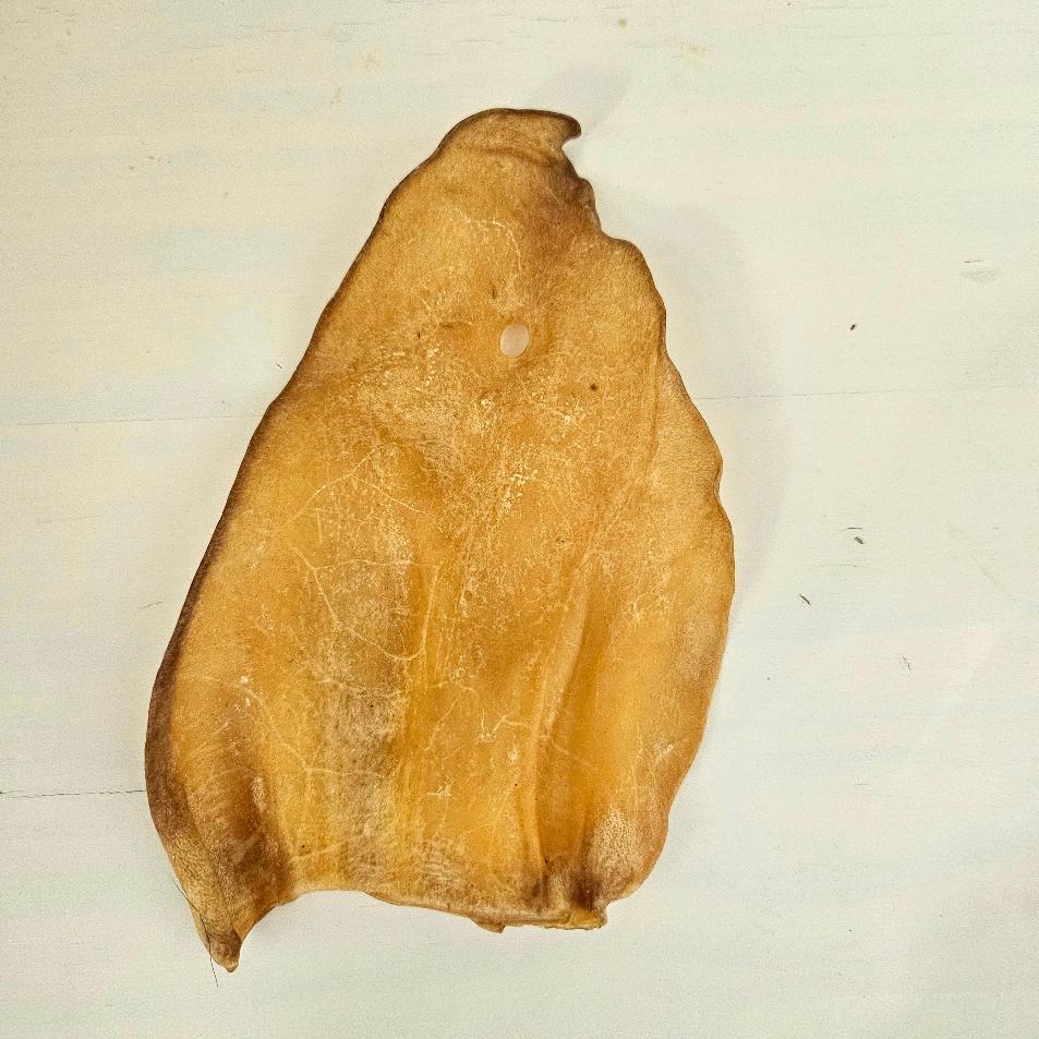 Hovězí ucho tenké 1 ks