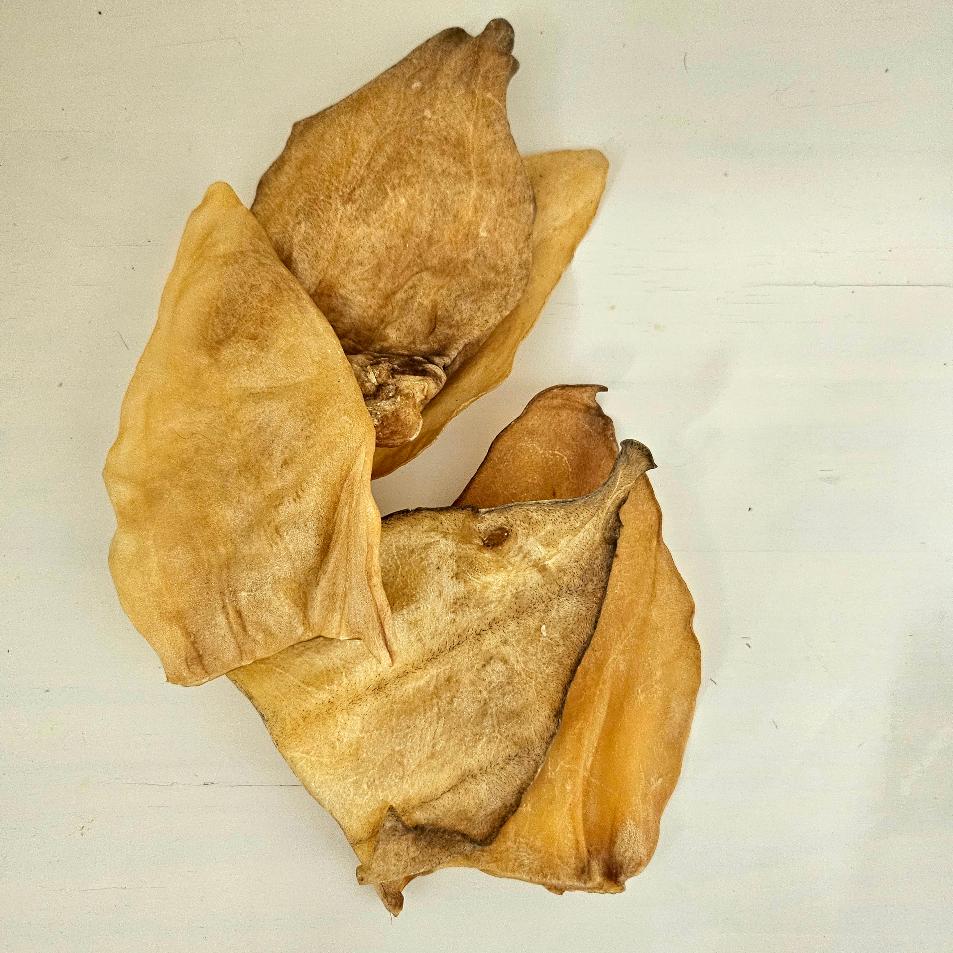 Hovězí ucho tenké 1 ks