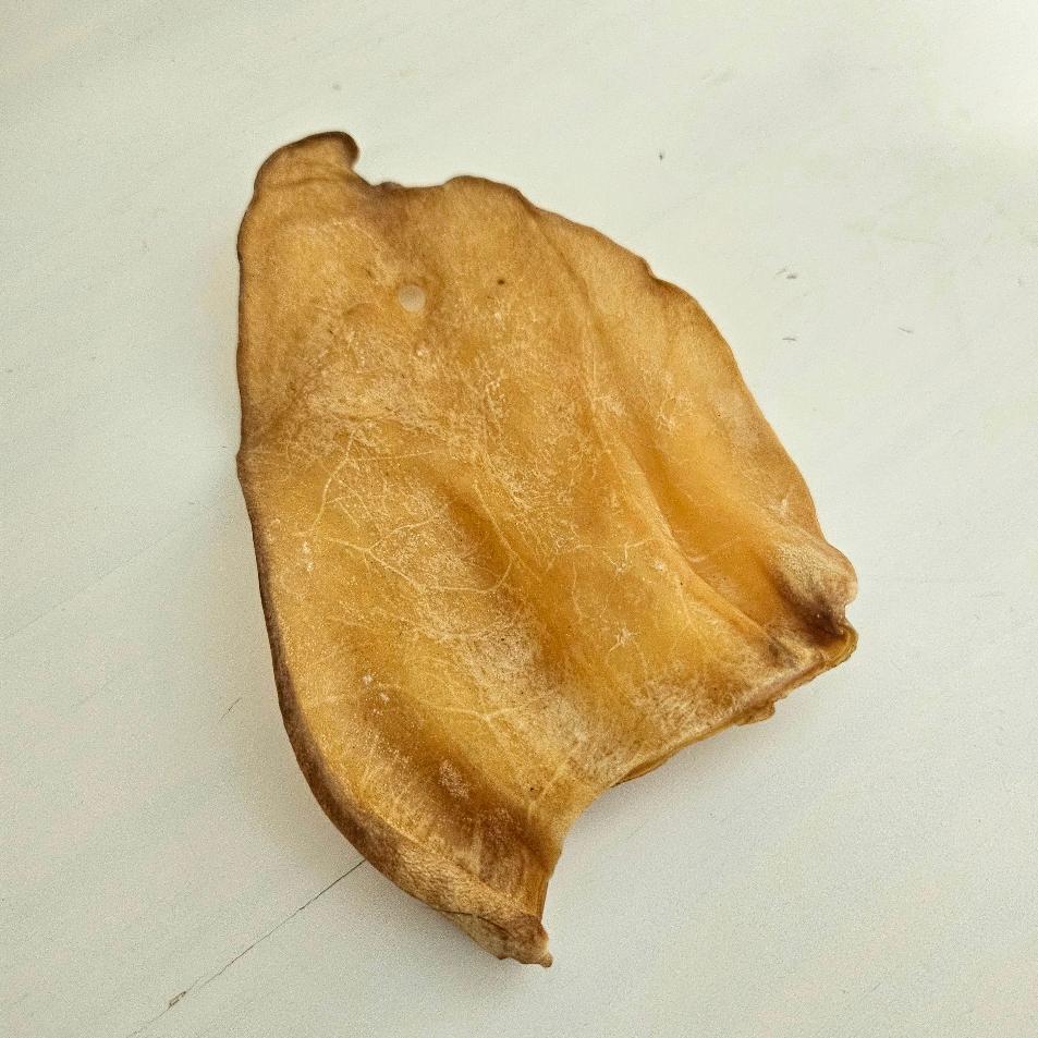 Hovězí ucho tenké 1 ks